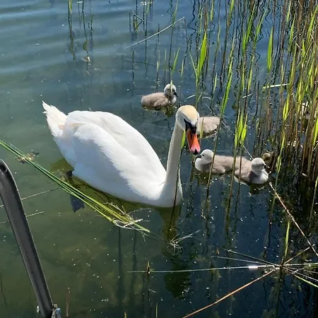 Sweet App Am Apartament *