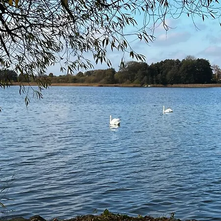 Apartament Sweet App Am *